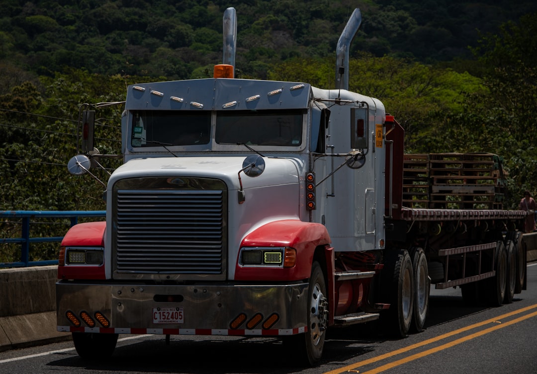 CDL License Guide: Training to Trucking Career