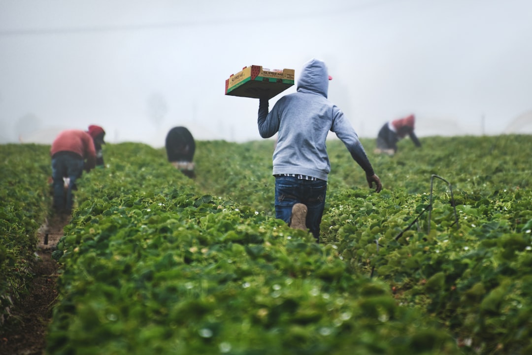 How Can Foreign Workers Find US Jobs With Visa Sponsorship?