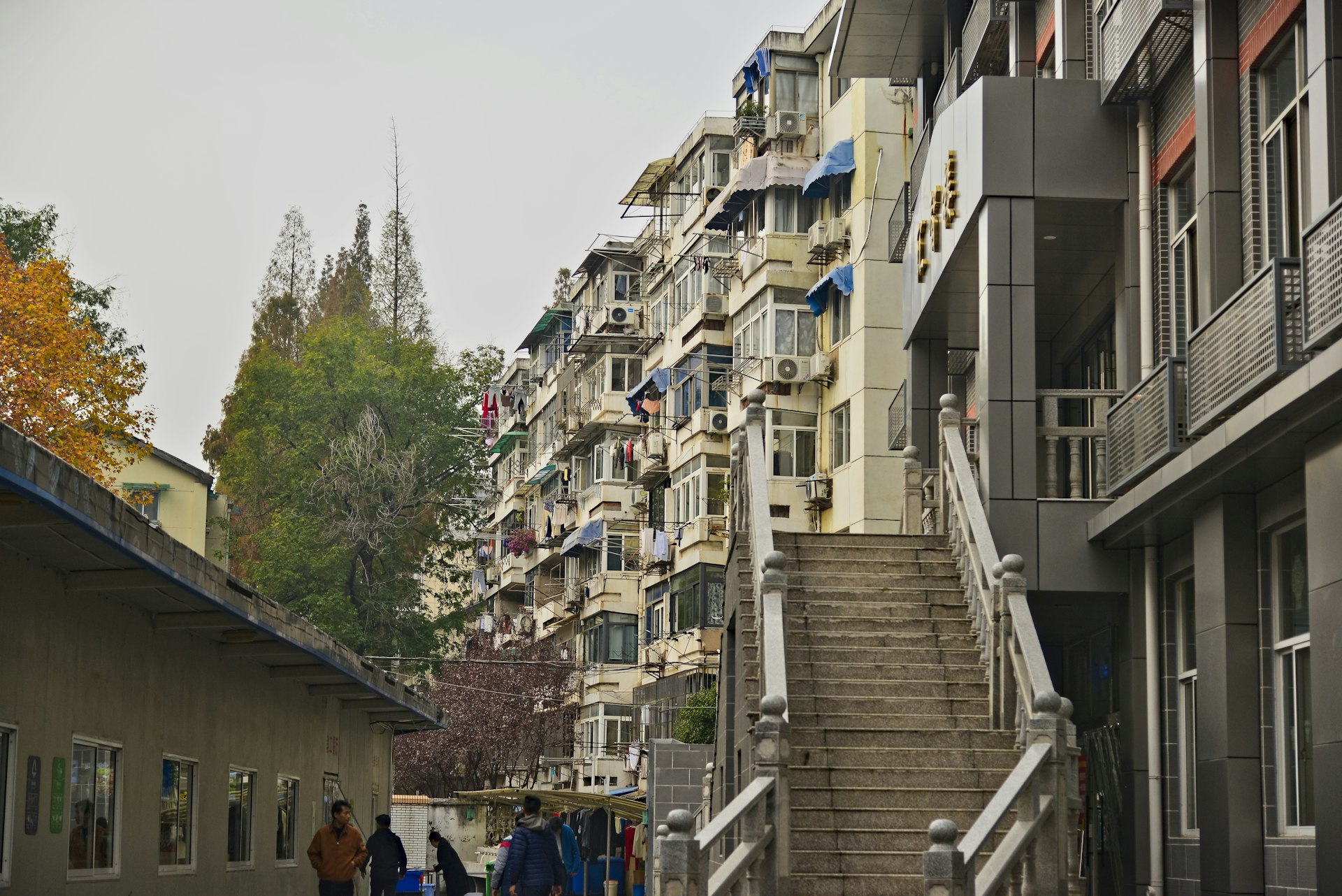 How Demographic Shifts Are Reshaping Urban Condo Demand: Actionable Insights for 2025 and Beyond