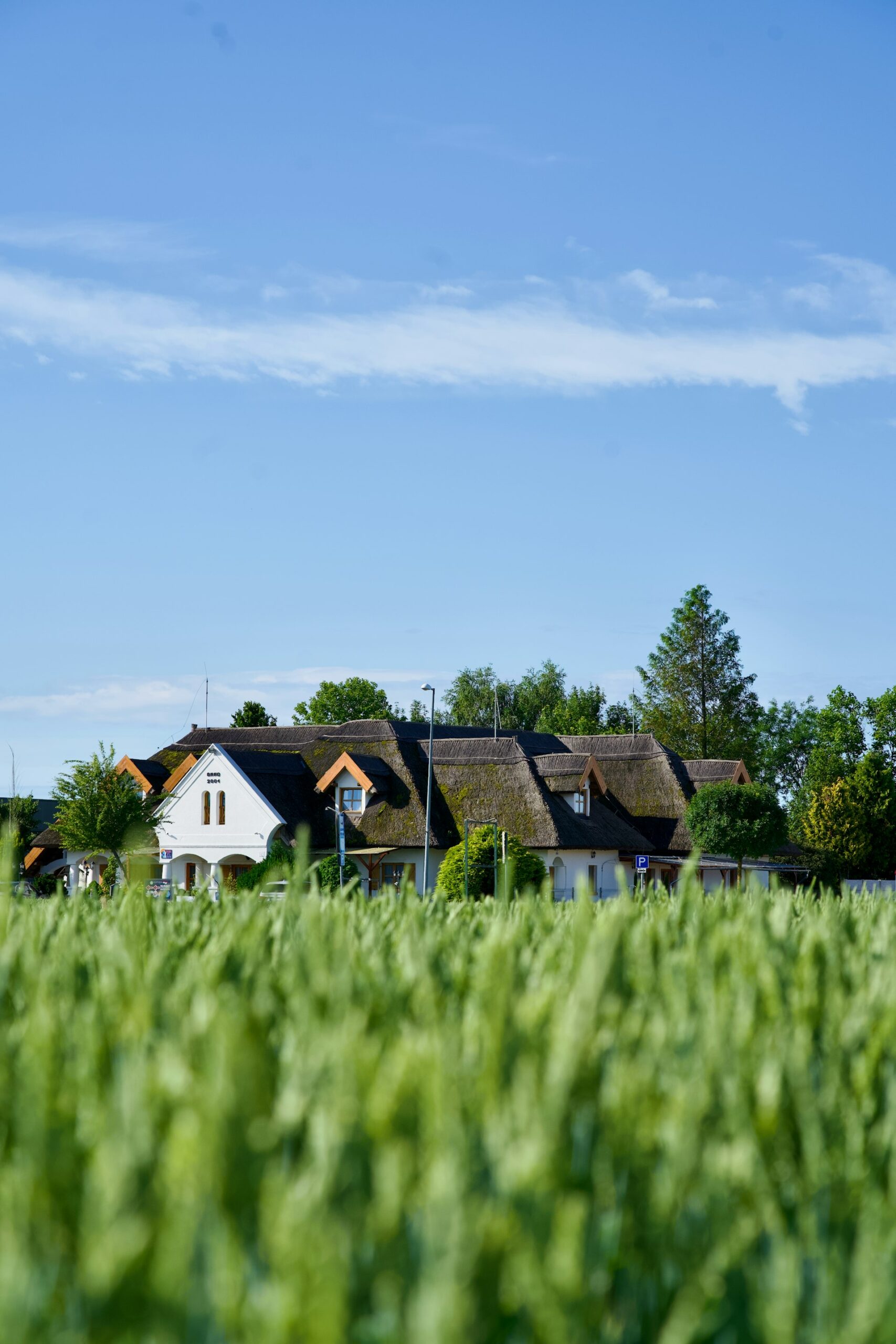 Building Wealth and Security: How Real Estate Can Hedge Against Inflation