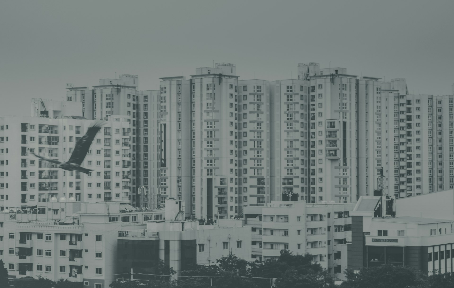 Unlocking the Future: How Real Estate Tokenization Platforms Are Transforming Property Investment