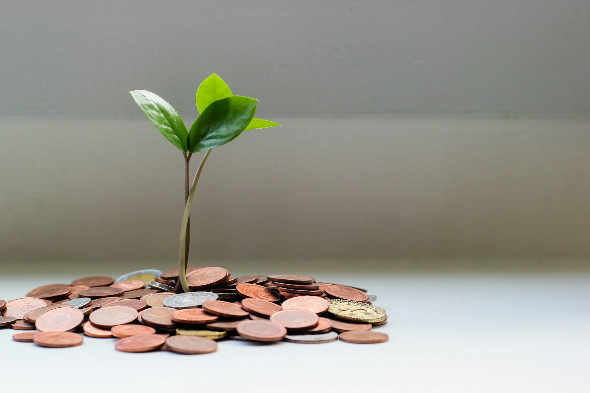 Unlocking Real Estate Crowdfunding Opportunities: A Step-by-Step Guide to Accessible Property Investment