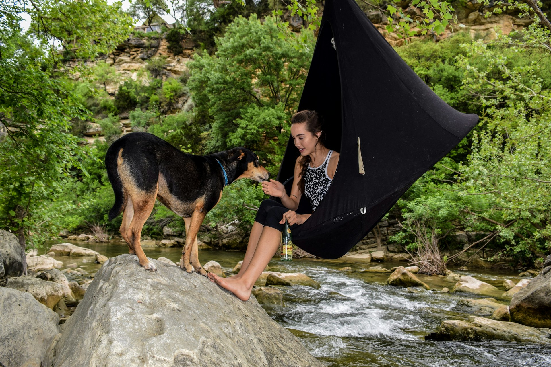 Your Guide to Unforgettable Pet-Friendly Outdoor Adventures