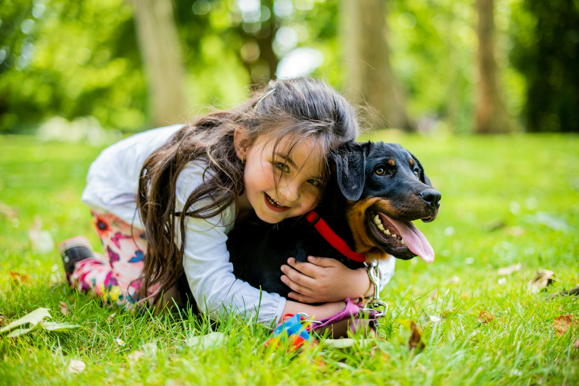 How Teaching Kids Pet Responsibility Builds Lifelong Values