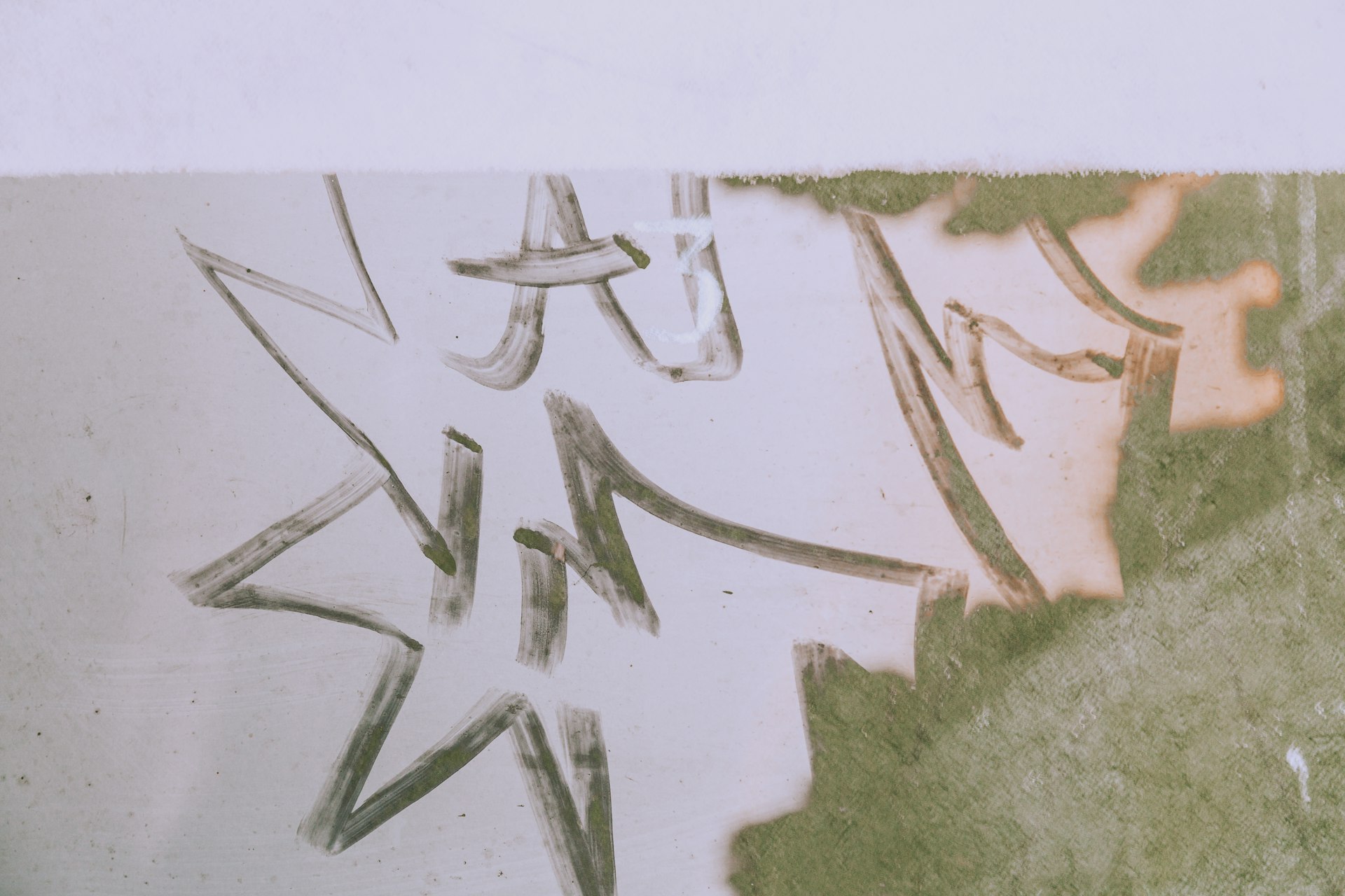 Practical Pathways: How to Launch Your Career in Politics